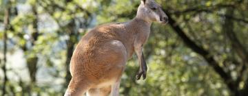 Moorabbin şehrindeki otoparklar