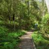 Dandenong şehrindeki otoparklar