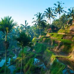 Ubud